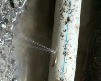 新邵卫生间测漏水多少钱