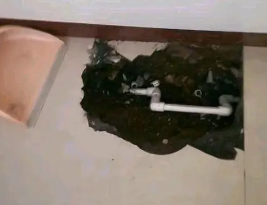 新邵卫生间测漏水多少钱